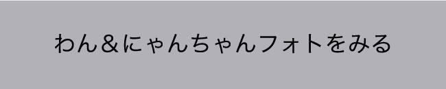 わん＆にゃんちゃんフォトをみる