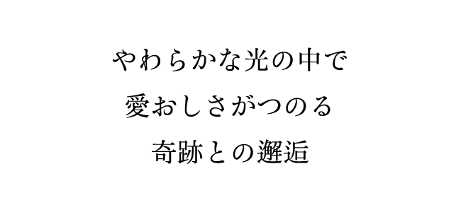 やわらかな光の中で愛おしさがつのる奇跡との邂逅